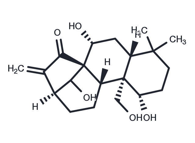 TargetMol Chemical Structure Kamebakaurin