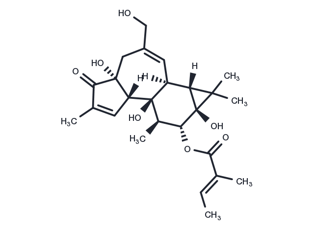 Phorbol 12-tiglate Chemical Structure