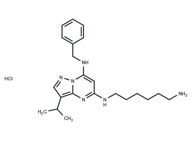TargetMol Chemical Structure BS-181 hydrochloride