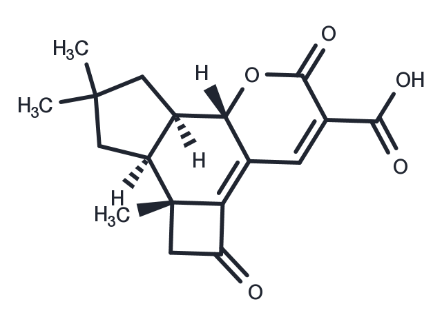 Lentinellic acid Chemical Structure