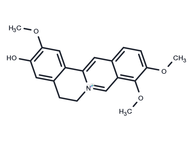 Jatrorrhizine Chemical Structure