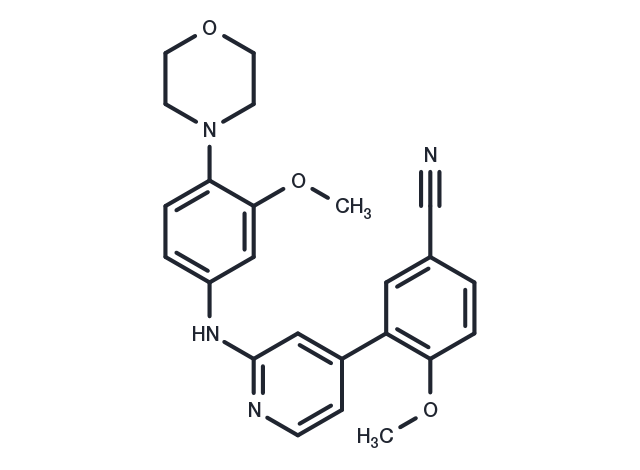 TargetMol Chemical Structure TINK-IN-1