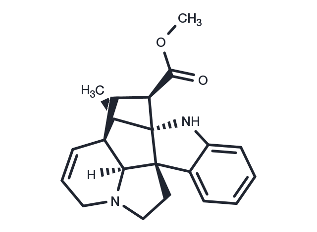 TargetMol Chemical Structure Vindolinine