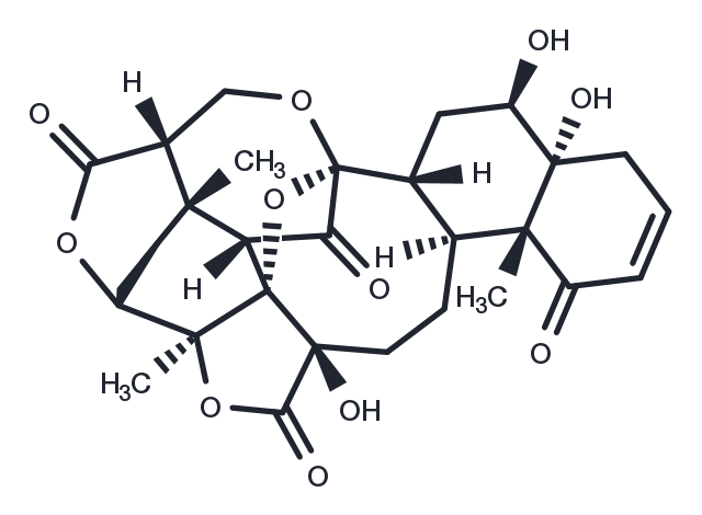 TargetMol Chemical Structure Physalin D