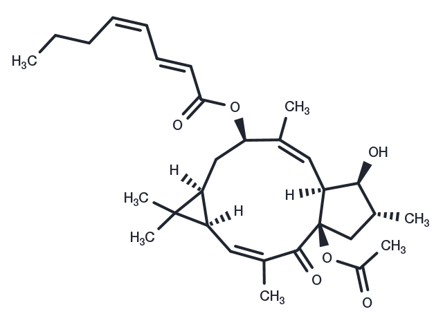 TargetMol Chemical Structure Euphohelioscopin A