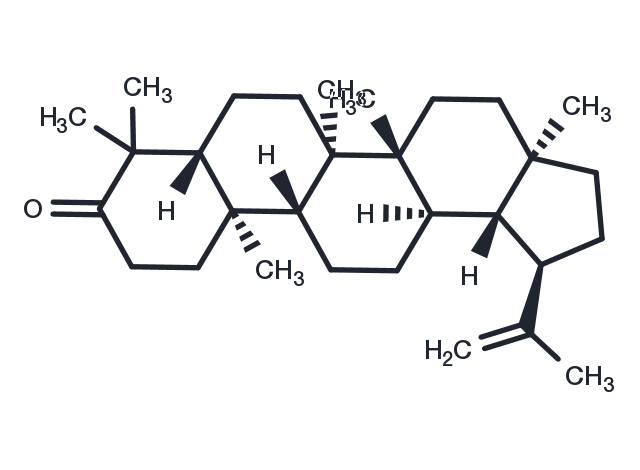 TargetMol Chemical Structure LUPENONE
