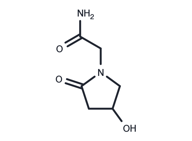 TargetMol Chemical Structure Oxiracetam