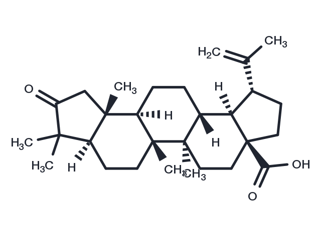 TargetMol Chemical Structure 1-Decarboxy-3-oxo-ceanothic acid