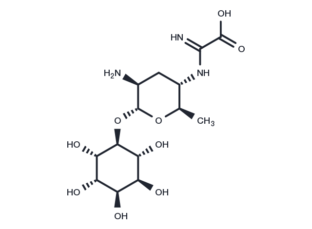 Kasugamycin Chemical Structure