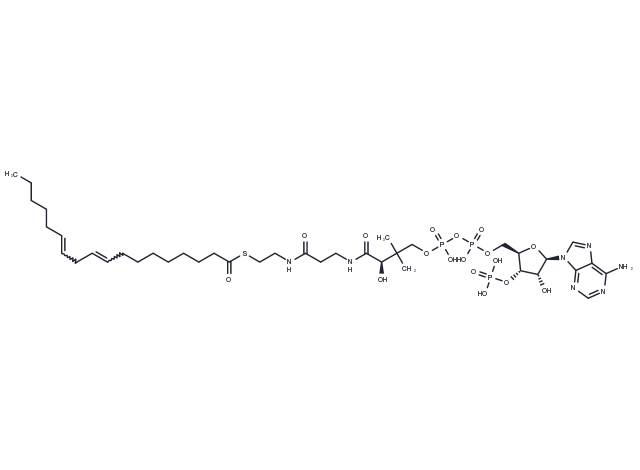 Linoleoyl-coenzyme A Chemical Structure