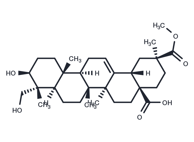Phytolaccagenic acid Chemical Structure
