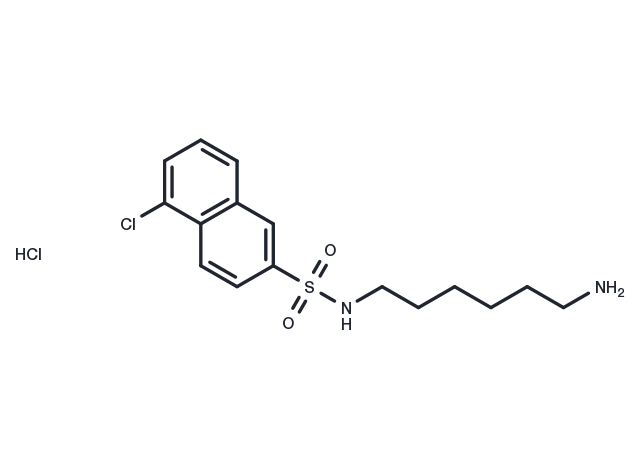 TargetMol Chemical Structure W-9 hydrochloride