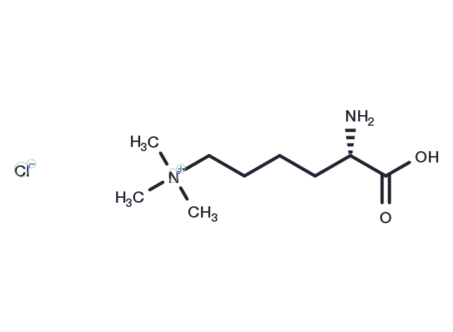 TargetMol Chemical Structure Nε,Nε,Nε-Trimethyllysine chloride