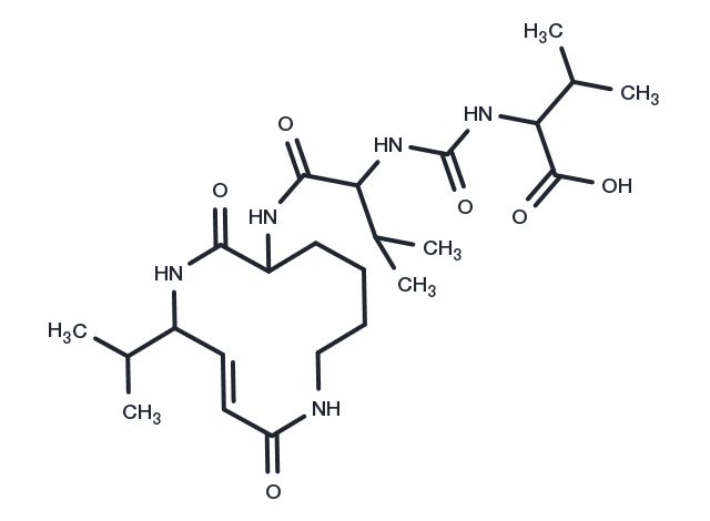 Syringolin B Chemical Structure