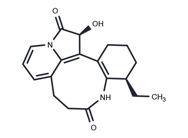 TargetMol Chemical Structure Leuconolam