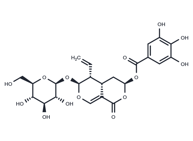 7α-Galloyloxysweroside Chemical Structure