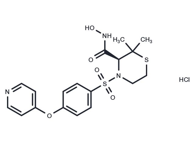 TargetMol Chemical Structure Prinomastat hydrochloride