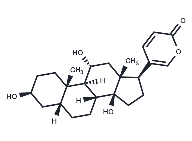TargetMol Chemical Structure Gamabufotalin