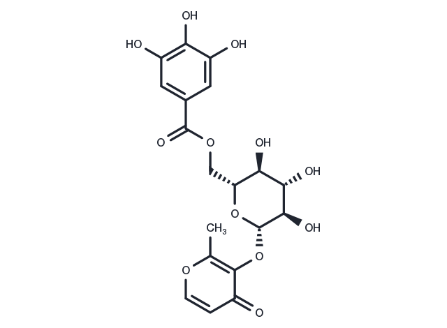 3-O-(6'-O-Galloyl)-β-D-glucopyranosylmaltol Chemical Structure