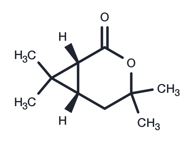 (1R)-Chrysanthemolactone Chemical Structure