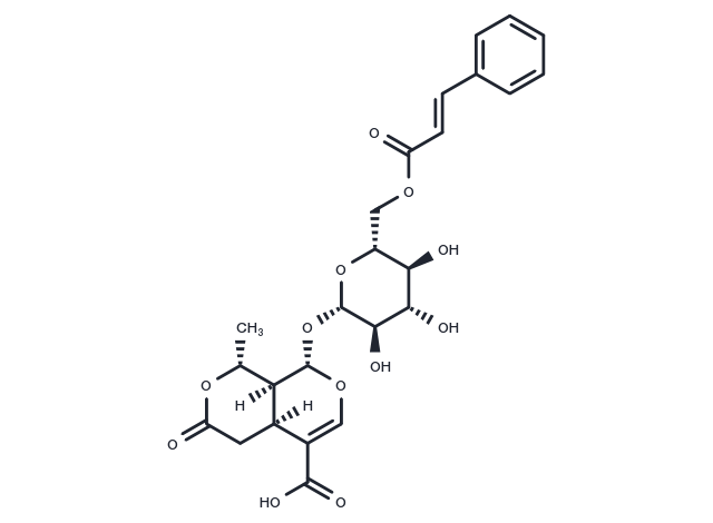 TargetMol Chemical Structure 6'-O-Cinnamoyl-8-epikingisidic acid