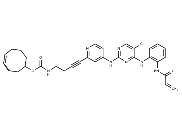 TargetMol Chemical Structure ERK1/2 inhibitor 9