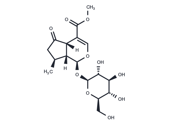 TargetMol Chemical Structure Verbenalin