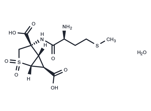 TargetMol Chemical Structure Pomaglumetad methionil
