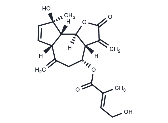 TargetMol Chemical Structure Eupalinilide B