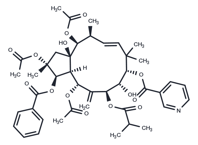 Jatrophane 3 Chemical Structure