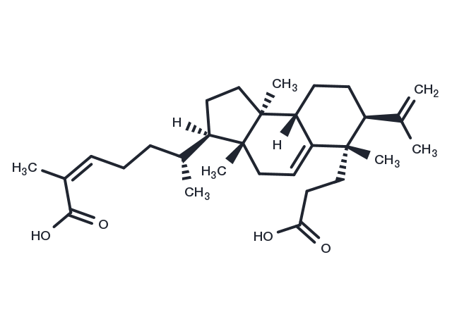 TargetMol Chemical Structure Kadsuric acid