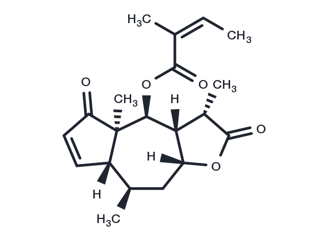 TargetMol Chemical Structure Brevilin A