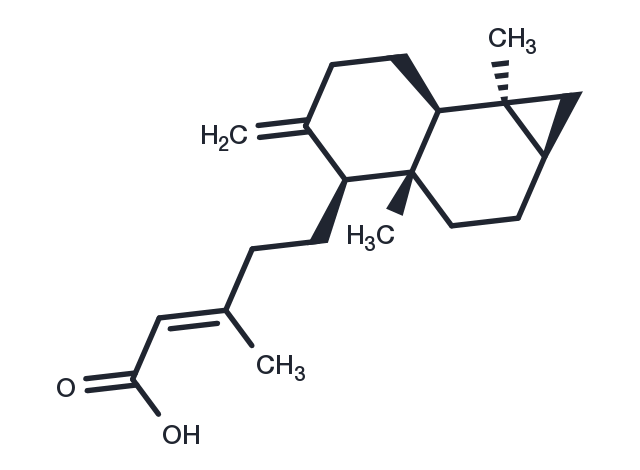 Metasequoic acid A Chemical Structure