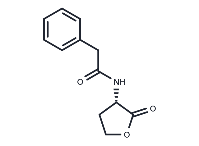 N-phenylacetyl-L-Homoserine lactone Chemical Structure