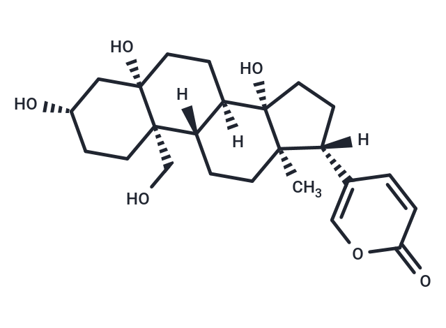TargetMol Chemical Structure Hellebrigenol