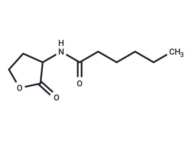 N-hexanoyl-DL-Homoserine lactone Chemical Structure