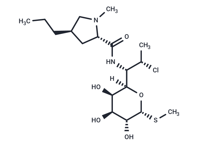 TargetMol Chemical Structure Clindamycin