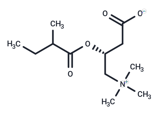 2-Methylbutyrylcarnitine Chemical Structure