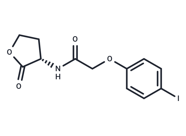 RhlR Antagonist E22 Chemical Structure