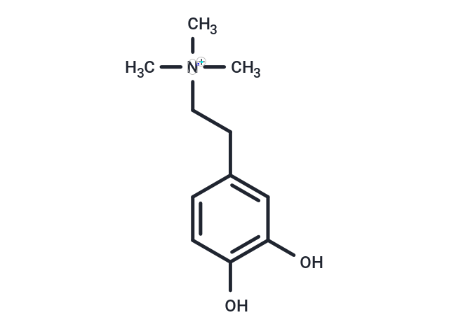 TargetMol Chemical Structure Coryneine