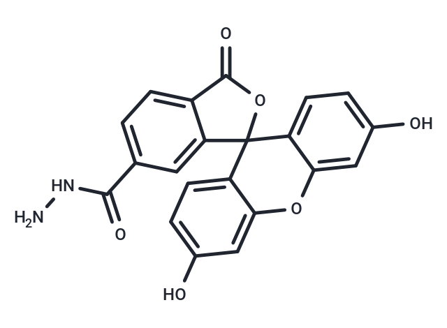 TargetMol Chemical Structure FAM hydrazide, 6-isomer