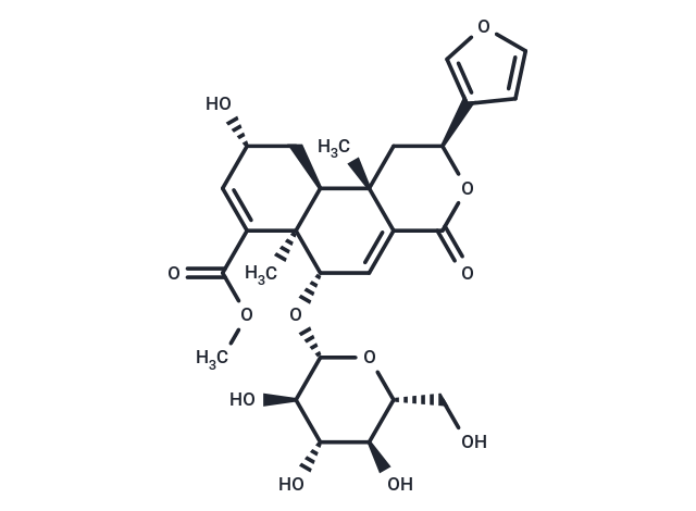 Dehydroborapetoside B Chemical Structure