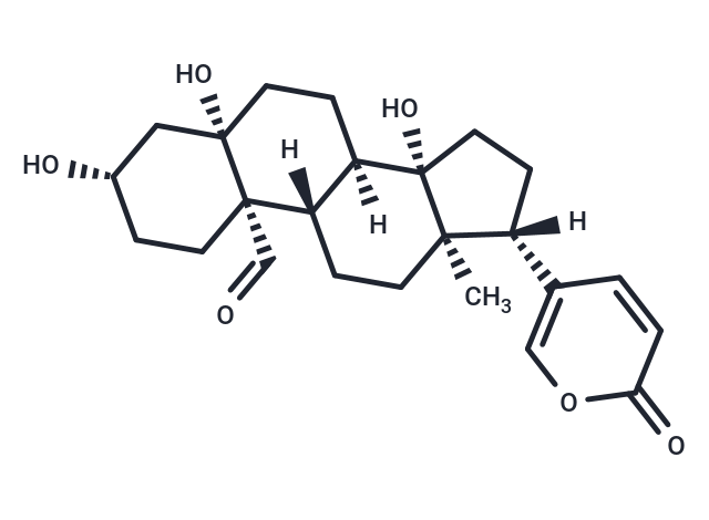 Hellebrigenin Chemical Structure