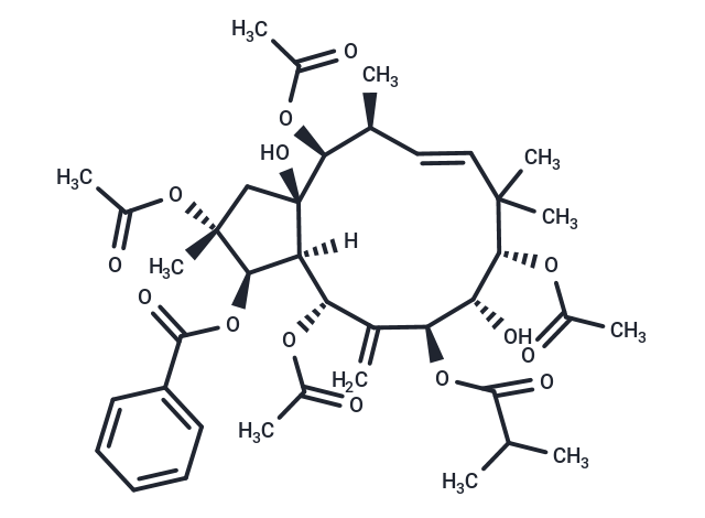 Jatrophane 4 Chemical Structure