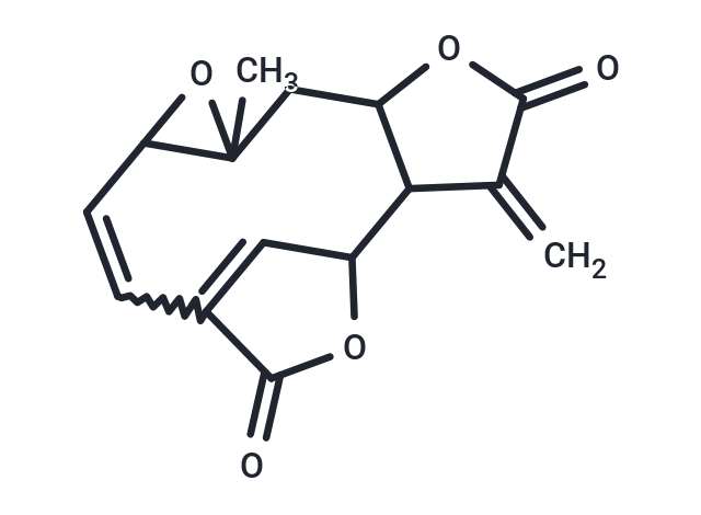 Anhydroscandenolide Chemical Structure