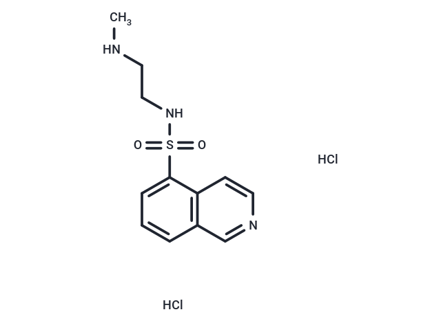 TargetMol Chemical Structure H-8 (hydrochloride)