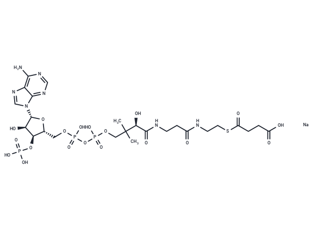 Succinyl-Coenzyme A sodium salt Chemical Structure