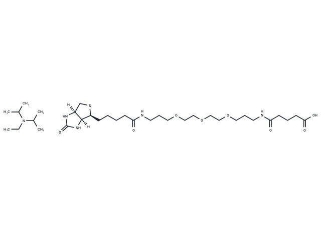 Biotinyl-NH-PEG3-C3-amido-C3-COOH (DIPEA) Chemical Structure