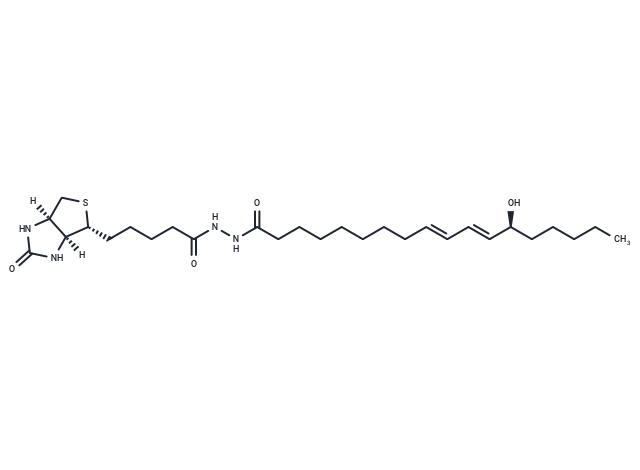 13(S)-HODE-biotin Chemical Structure