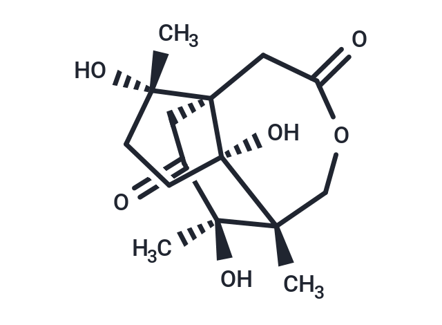 1α-Hydroxy-3-deoxypseudoanisatin Chemical Structure
